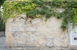 Photo Textures of Nature Mixed